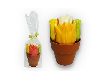 Chocolade Bloempotje<br> met 9 Tulpen