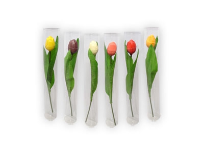 Chocolade Tulpen<br>op steel