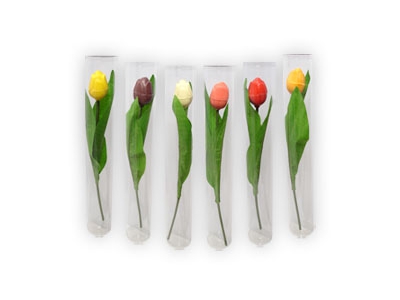 Chocolade Tulpen<br/> op steel