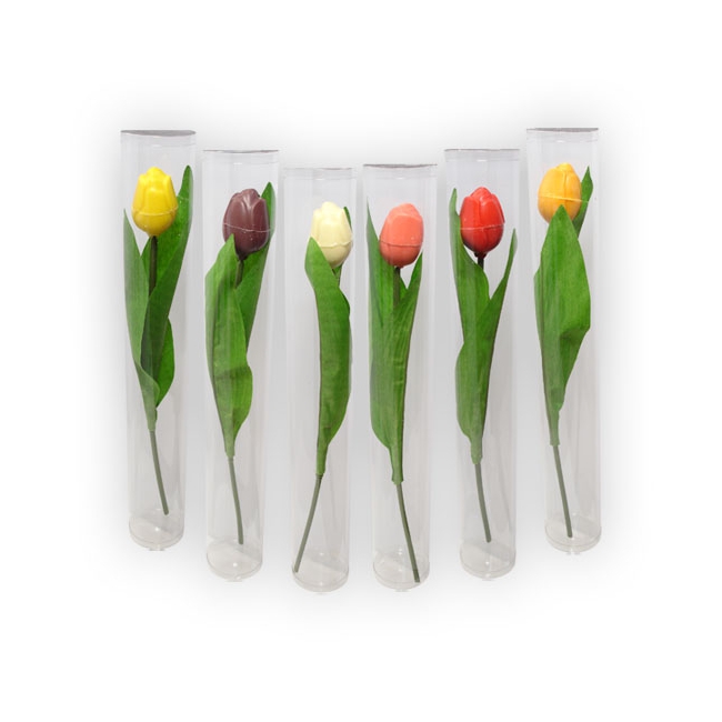 Chocolade Tulpen op steel