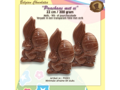 Chocolade Paashaas <br>met EI