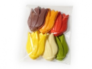 Chocolade Tulpen per 6 verpakt