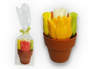 Chocolade Bloempotje  met 9 Tulpen